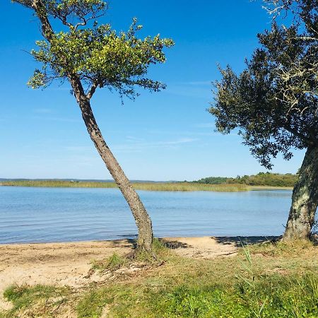 Maisonnette A 300 M Du Lac De Biscarrosse Exteriör bild